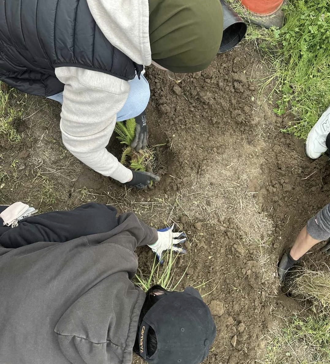 Community Volunteer Service volunteer photo