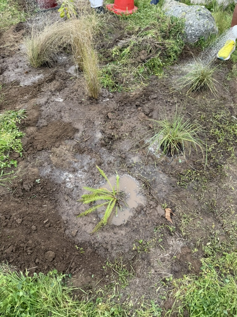 Community Volunteer Service volunteer photo